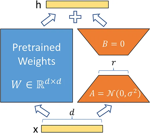 Exploring Low-Rank Adaptation for Efficient Model Fine-Tuning